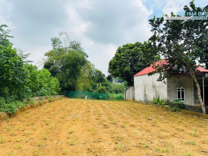 BÁN GẤP SIÊU PHẨM TRỤC CHÍNH LIÊN XÃ KINH DOANH CÓ DT 545m2 MẶT ĐƯỜNG TIÊN HỘI - 2