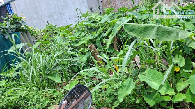 BÁN ĐẤT PHÚC LỢI, LONG BIÊN – 49.5M2 VUÔNG VẮN, NGÕ THÔNG, GẦN Ô TÔ, KHÔNG KHÍ TRONG LÀNH - 2