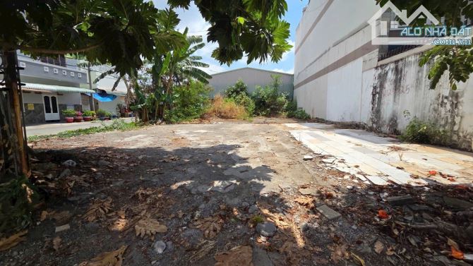 Bán Đất DT 900M2 KP5 P. Trảng Dài, gần Chợ Phú Thọ, Cầu Săn Máu, cách Nguyễn Ái Quốc 200M - 3