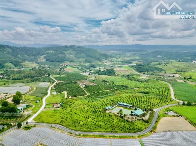 Cần bán 3700m2 view đẹp xã ninh gia giá siêu tốt - 3