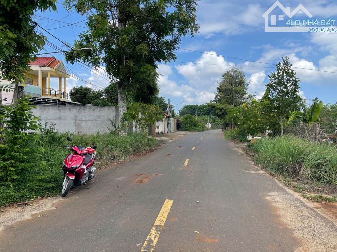 CẦN BÁN LÔ ĐẤT VƯỜN 553m² TẠI XÃ HÒA LONG, TP. BÀ RỊA - VŨNG TÀU - 3