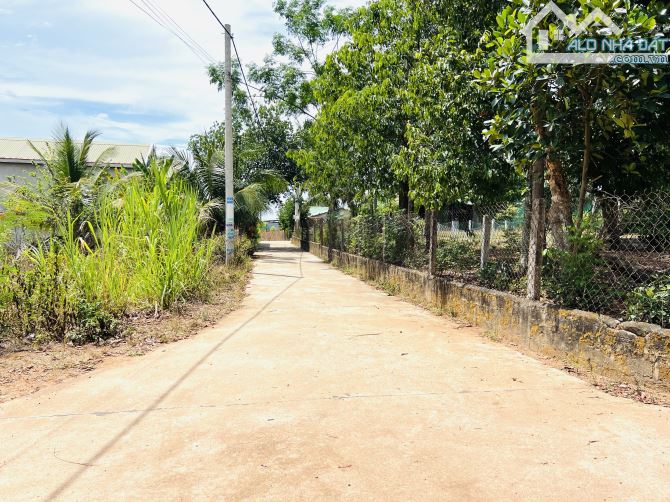HẺM XE HƠI THÔNG VÕ NGUYÊN GIÁP, TRẦN BẠCH ĐẰNG, 6 X 20, FULL THỔ CƯ, GIÁ CHỈ 700 TRIỆU - 3