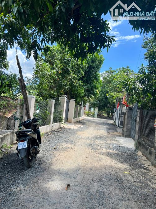 12m Ngang Cam Hoà Quy Hoạch An Toàn - 3