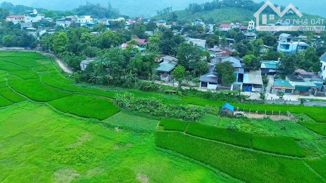 300m Full Đất ở Đô Thị - View Cánh Đồng -  Nhà Đẹp Chỉ VIệc Về Ở - Đất Thị Trấn Bo Kim Bôi - 3