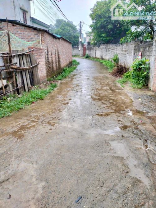 100m Full Đất Ở Đô Thị - Mặt Tiền 7m Vuông Vắn - Sẵn Nhà Cấp 4 - Gần Bến Xe Kim Bôi - 3