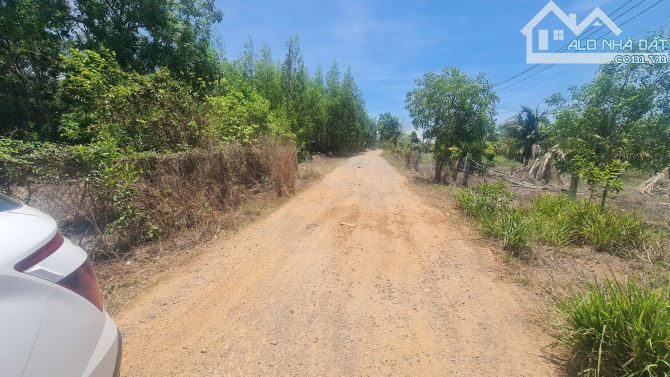 bán đất 15000m2 mặt tiền nguyễn minh châu, tân tiến, thị xã lagi, bình thuận. giá ngợp - 3