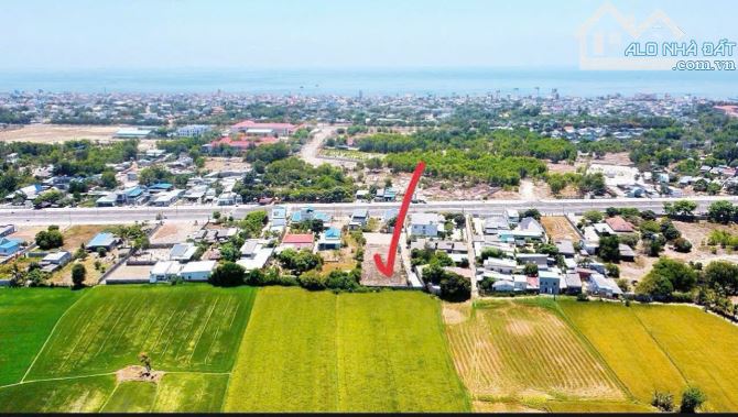 👉👉👉VIEW LÚA CỰC ĐẸP TRUNG TÂM THỊ TRẤN PHƯỚC HẢI - CÁCH BIỂN 1KM - 3