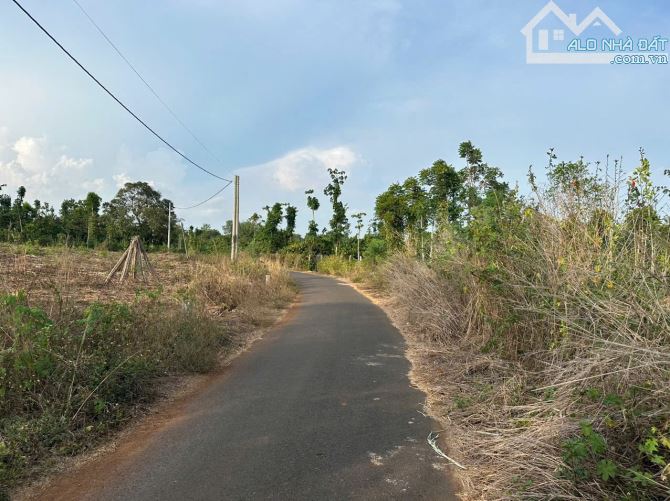 Bán khoảng 7 sào 7 (7701m2) đất Bình Ba, huyện Châu Đức, BRVT. - 4