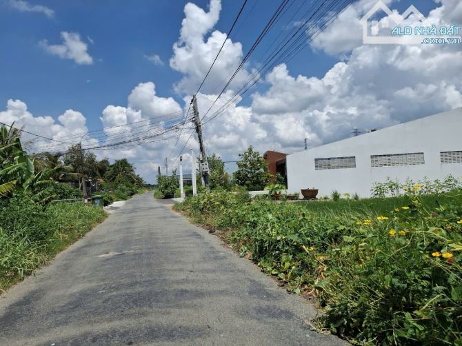 Đất đẹp, 1.110m2 ONT ộ nhựa Tám Thăng cạnh Quốc lộ 1A, Thạnh Đức, Bến Lức. Giá rẻ 5.8tr/m2 - 4