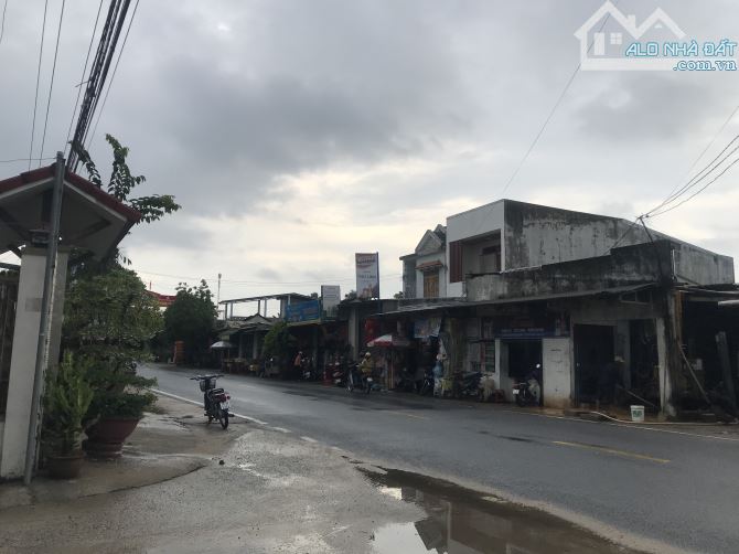 HÀNG NGỢP- ĐẤT NGHĨA THUẬN SÁT TRƯỜNG TƯ NGHĨA 2 HUYỆN TƯ NGHĨA - 4
