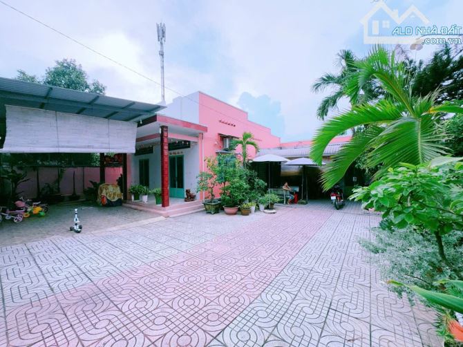 Bán lô biệt phủ nhà vườn gần 1000m2 trung tâm P.Hố Nai vị trí 2 Nguyễn Ái Quốc P.Hố Nai - 4