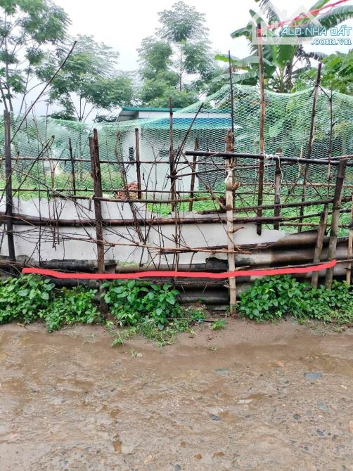 100m Full Đất Ở Đô Thị - Mặt Tiền 7m Vuông Vắn - Sẵn Nhà Cấp 4 - Gần Bến Xe Kim Bôi - 4