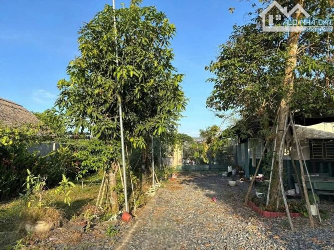 1608M² VIEW SÔNG BÌNH LỢI - VĨNH CỬU - 5