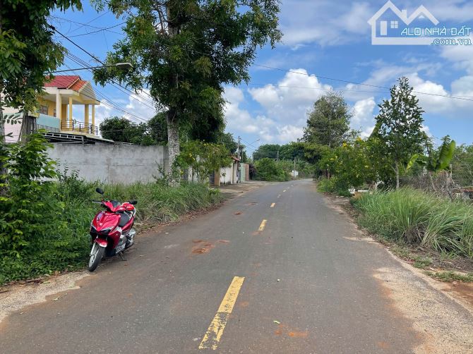 CẦN BÁN LÔ ĐẤT VƯỜN 553m² TẠI XÃ HÒA LONG, TP. BÀ RỊA - VŨNG TÀU - 5