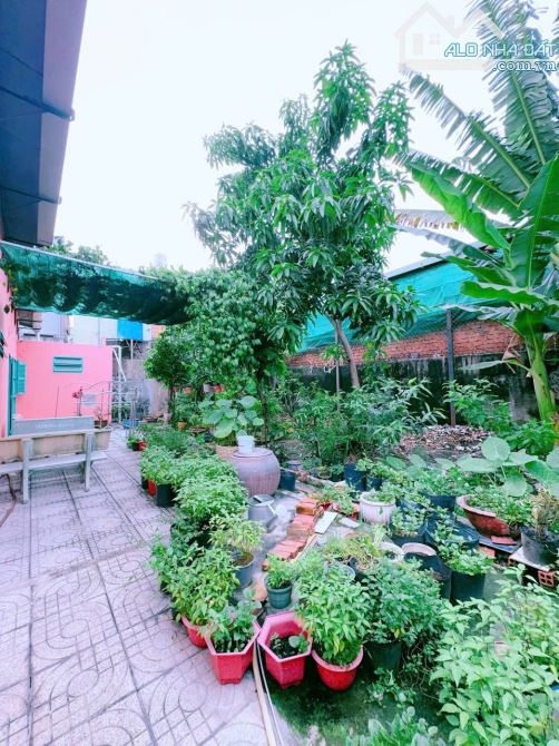 Bán lô biệt phủ nhà vườn gần 1000m2 trung tâm P.Hố Nai vị trí 2 Nguyễn Ái Quốc P.Hố Nai - 5