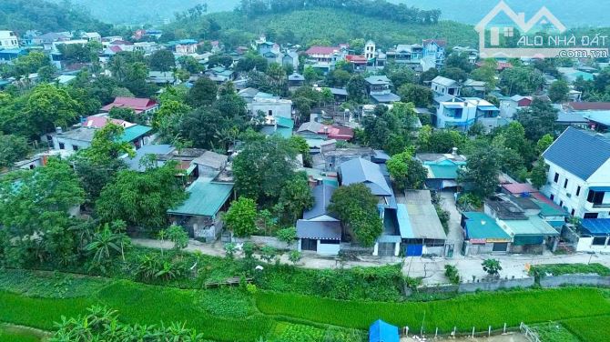 300m Full Đất ở Đô Thị - View Cánh Đồng -  Nhà Đẹp Chỉ VIệc Về Ở - Đất Thị Trấn Bo Kim Bôi - 5