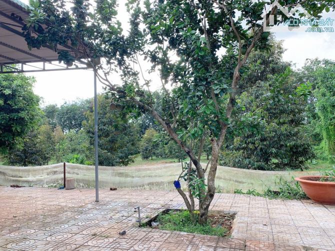 Bán khoảng 4 sào 6 (4647m2) đất Xà Bang, huyện Châu Đức, BRVT. - 6