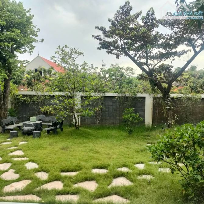 Biệt thự nhà vườn Khoái Châu Hưng Yên 725m xây 1 tầng mtien 25m giá 15 tỷ không gian xanh, - 6