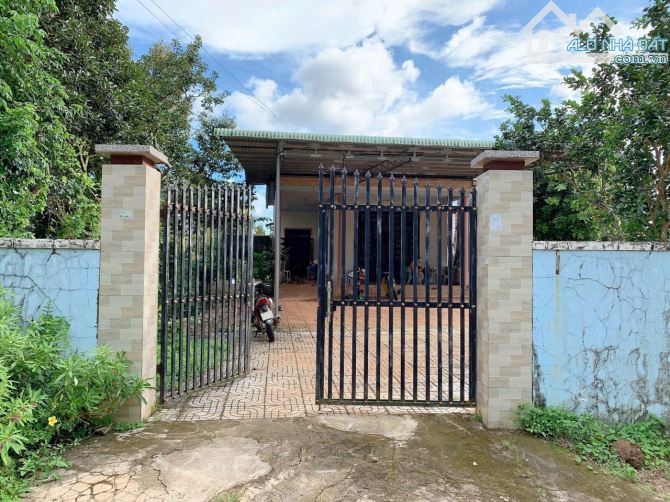 Bán khoảng 4 sào 6 (4647m2) đất Xà Bang, huyện Châu Đức, BRVT. - 7