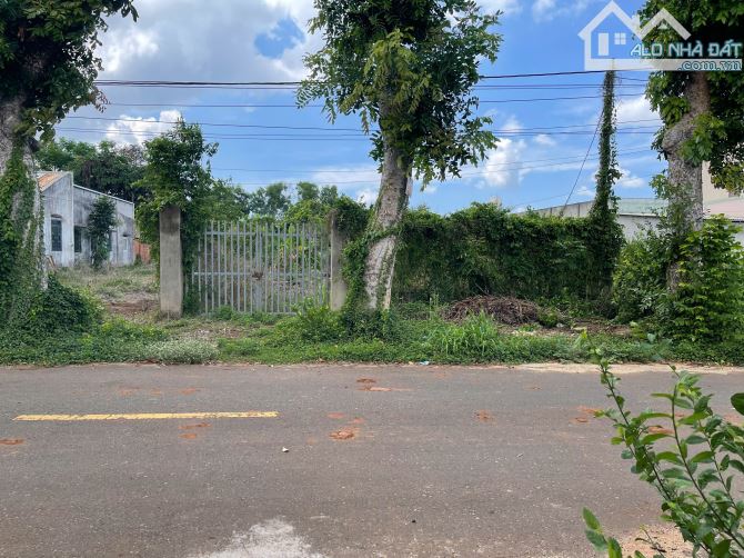 CẦN BÁN LÔ ĐẤT VƯỜN 553m² TẠI XÃ HÒA LONG, TP. BÀ RỊA - VŨNG TÀU - 7