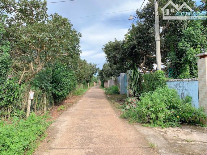 Bán khoảng 4 sào 6 (4647m2) đất Xà Bang, huyện Châu Đức, BRVT. - 8