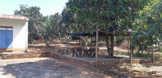 Bán khoảng 1 mẫu 9 (19.040m2) đất Xà Bang, huyện Châu Đức, BRVT. - 8