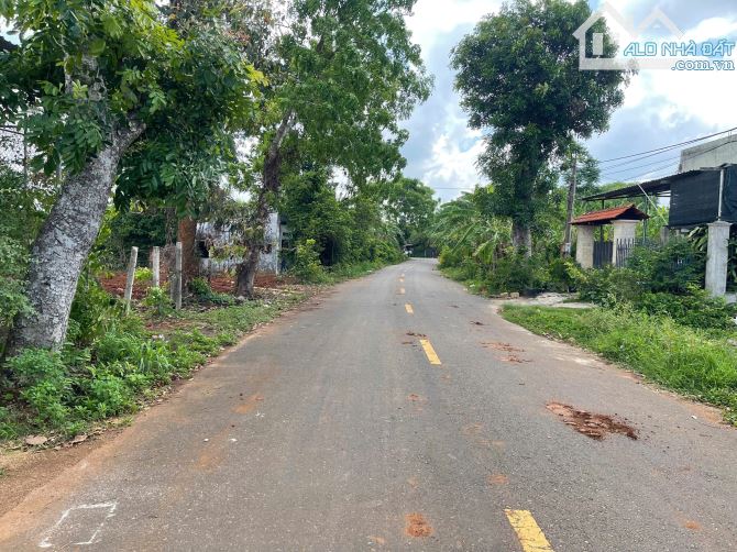 CẦN BÁN LÔ ĐẤT VƯỜN 553m² TẠI XÃ HÒA LONG, TP. BÀ RỊA - VŨNG TÀU - 8
