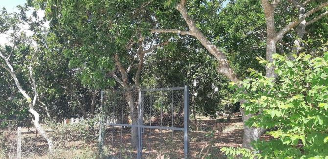 Bán khoảng 1 mẫu 9 (19.040m2) đất Xà Bang, huyện Châu Đức, BRVT. - 9