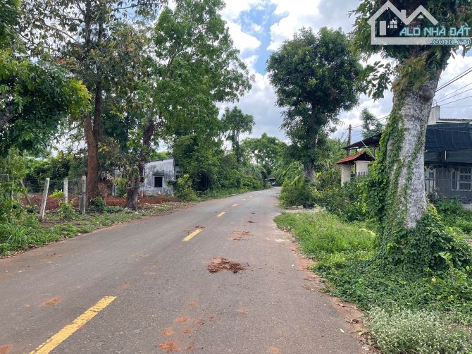 CẦN BÁN LÔ ĐẤT VƯỜN 553m² TẠI XÃ HÒA LONG, TP. BÀ RỊA - VŨNG TÀU - 9