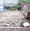 Đông Anh,xã Bắc Hồng 68m ô tô nhỏ đỗ cửa
