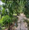 🔰 Bán nhà vườn: 2.484m²(17m x 150m, thổ 400m², hậu 14m) 🔰 Đường đan xe máy, xã Mỹ Xương