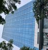 Toà nhà phố Trần Thái Tông, Cầu Giấy 335m2, MT 12m, 7T, T máy, Ô tô, gần Phố, KD chỉ 69 tỷ