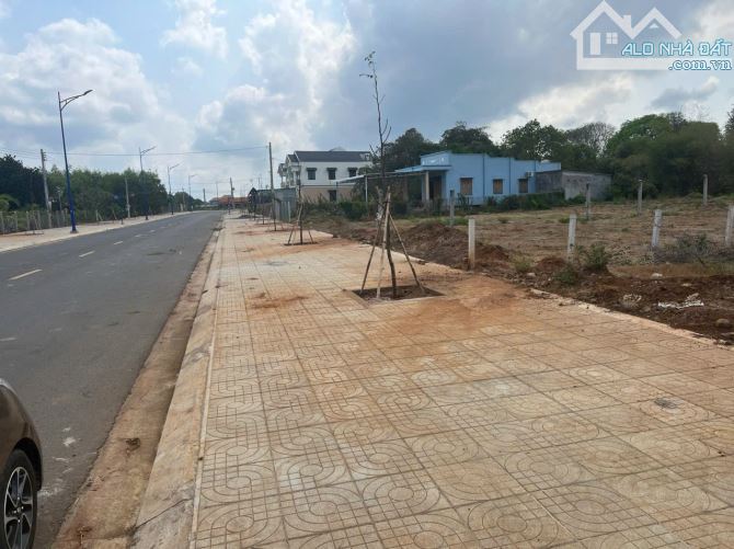 hàng đẹp nha quý anh chị  ngay chung tâm thị trấn đất đỏ bà rịa vũng tàu :  dt 565 m 10 x