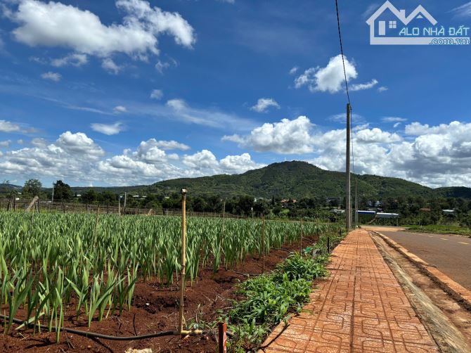 Đất nền gần sân bay Liên Khương, giá cực tốt cho nhà đầu tư - VỊ TRÍ CỰC HIẾM