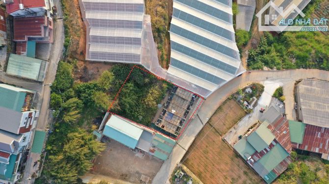 Đất Biệt thự Nguyễn siêu -  đường oto  - P7 Đà lạt. -391m2 - 6 tỷ 5