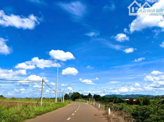 🌟 Cơ Hội Sở Hữu Đất Nền Giá Tốt – Gần Đà Lạt – Sổ Riêng Từng Nền! CHƯA TỚI 1 TỶ