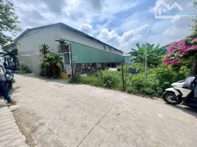 Đất Phú Lợi TDM: Ngang 6 x 19 nở hậu 12m, Mt đường 5m