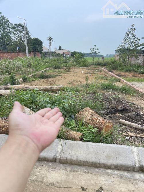 Bán đất Cổ Liễn, Cổ Đông, thị xã Sơn Tây, HN.  diện tích 89m, mt gần 6 m nở hậu nhẹ