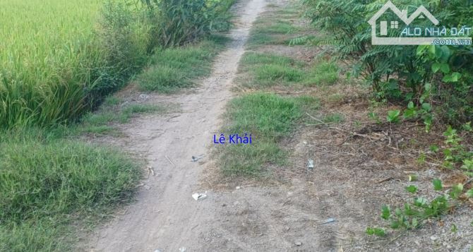 🔰 Bán đất lúa: 14.000m²(43m x 450m, hậu 27m) 🔰 Đường xe ba gác, xã Tân Hội Trung.