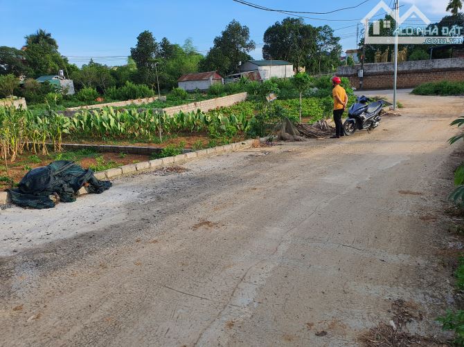 Bán 115m đất tại thôn sen trì. Ngay vùng lõi của khu công nghệ cao hòa lạc