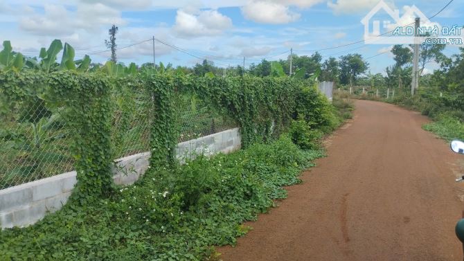 Bán đất Láng Lớn – 2.5 sào, full mặt tiền 82m, sổ hồng riêng, cách đường lớn 200m