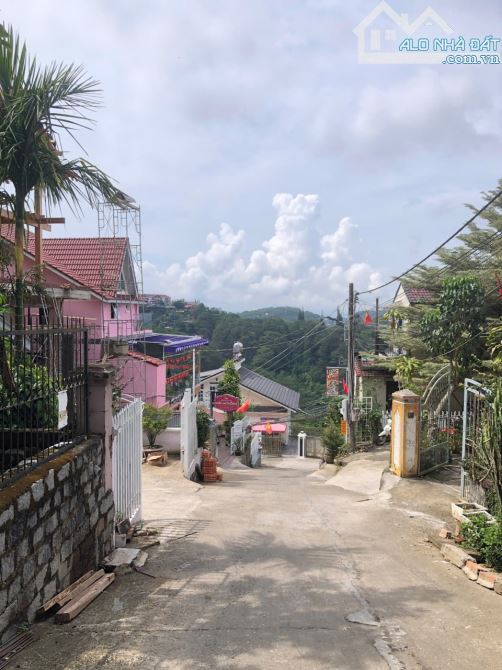 BÁN ĐẤT ĐẸP – VIEW RỪNG THÔNG – NGAY TRUNG TÂM ĐÀ LẠT