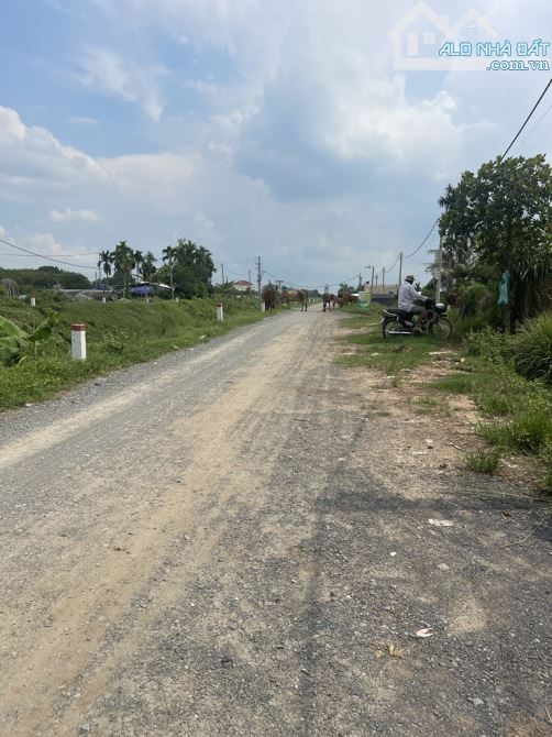 Cần Bán QSDĐ 4700m2 Đất MT  Kênh An Hạ, Tân Thới Nhì Hóc Môn - 27  Tỷ