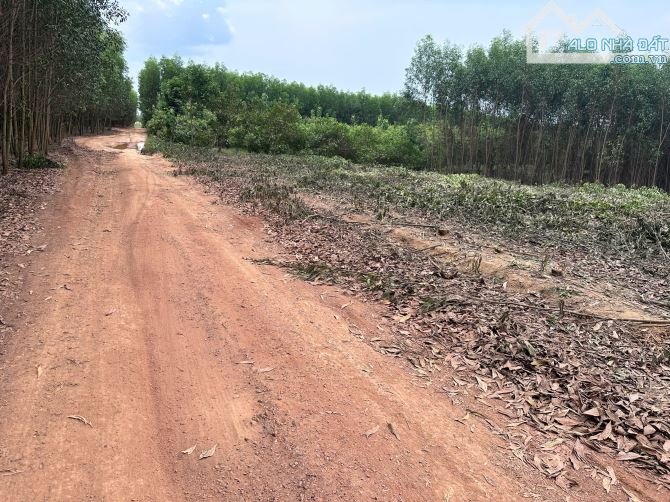 Cần Bán 26.312m2 đất nông nghiệp - Định Quán , Đồng Nai