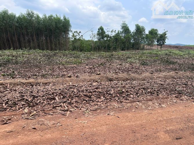 Bán 28.168m2 - mặt tiền nhiều - quy hoạch làm đường nhựa lớn