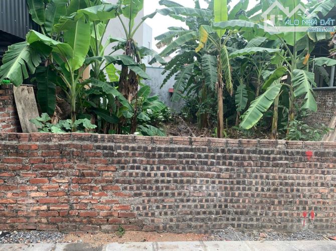 Bán đất Nam Hồng, Đông Anh Khu Dân cư phân lô ngõ ô tô 3.5 tấn tránh nhau