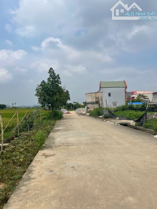 💥Bán Đất 60,m² Bắc Thượng Quang Tiến, Sóc Sơn – Mặt Tiền 4.6m, Oto Tránh – Giá Chỉ 2.7 Tỷ