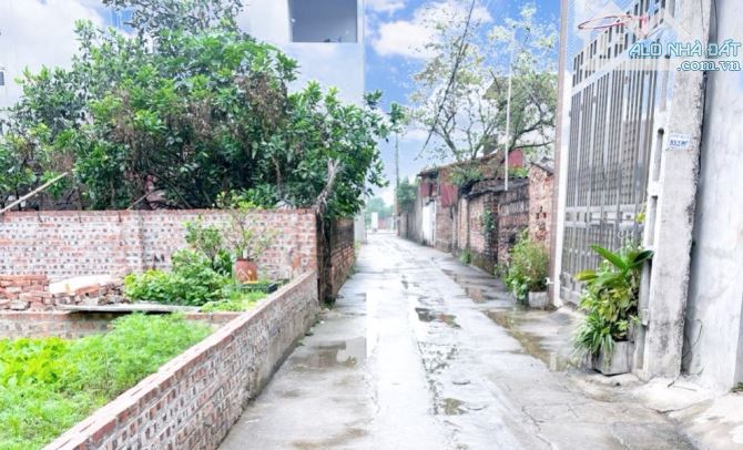 Nam Hồng,Đông Anh 56m ngõ thông ô tô ngủ trong đất chỉ 3,3tỷ - 1