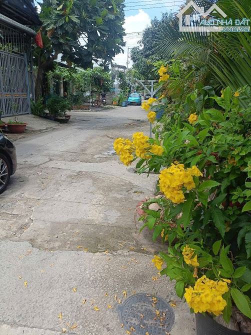 Lô đất rẻ nhất khu vực Tân An Tân Đông Hiệp ngang 5m hẻm rộng 7m gần TTYT Dĩ An - 1
