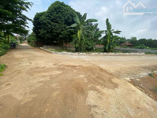 BÁN LÔ ĐẤT 86.9M² – MẶT ĐƯỜNG THÔNG KINH DOANH – TRỤC CHÍNH ĐỒI SEN, HÒA LẠC - 1
